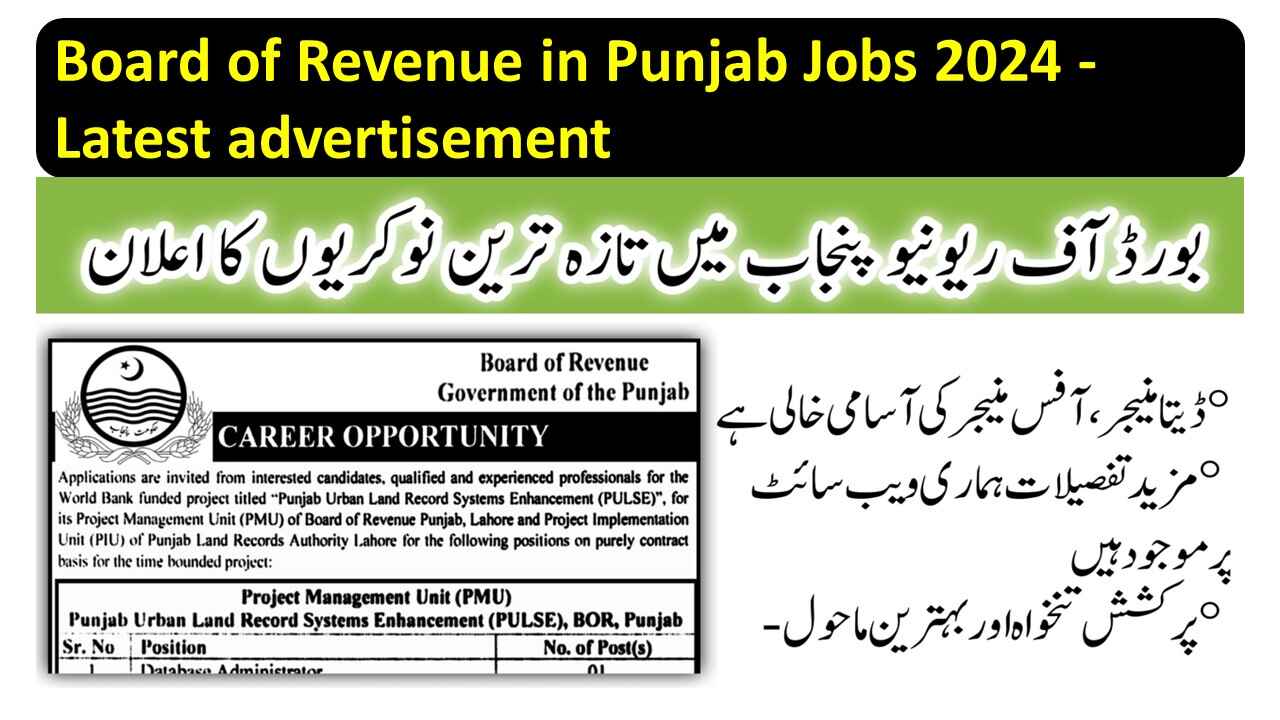 Board of Revenue in Punjab Jobs 2024