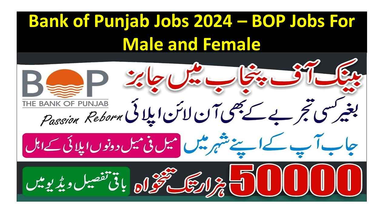 Bank of Punjab Jobs 2024