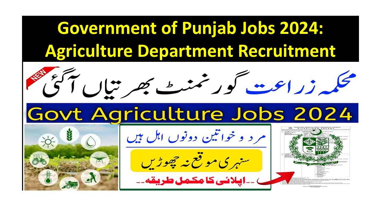 Government of Punjab Jobs 2024: Agriculture Department Recruitment