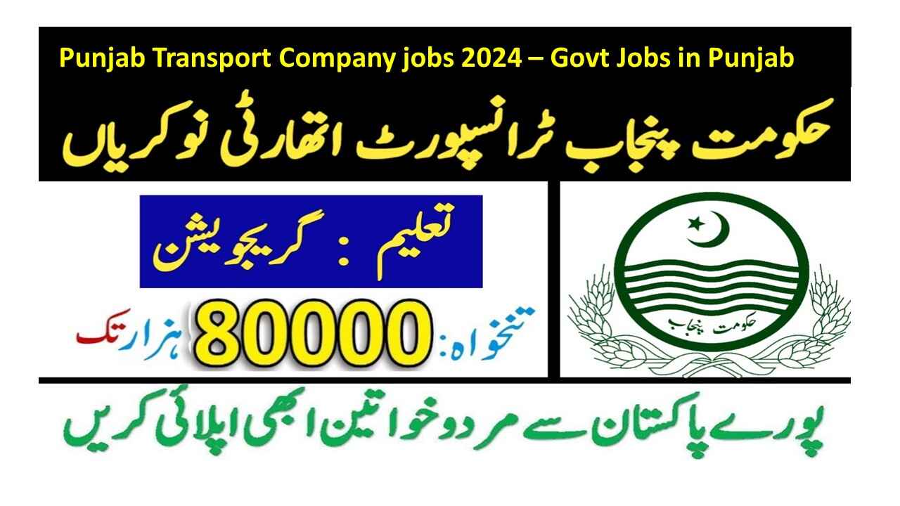 Punjab Transport Company jobs 2024