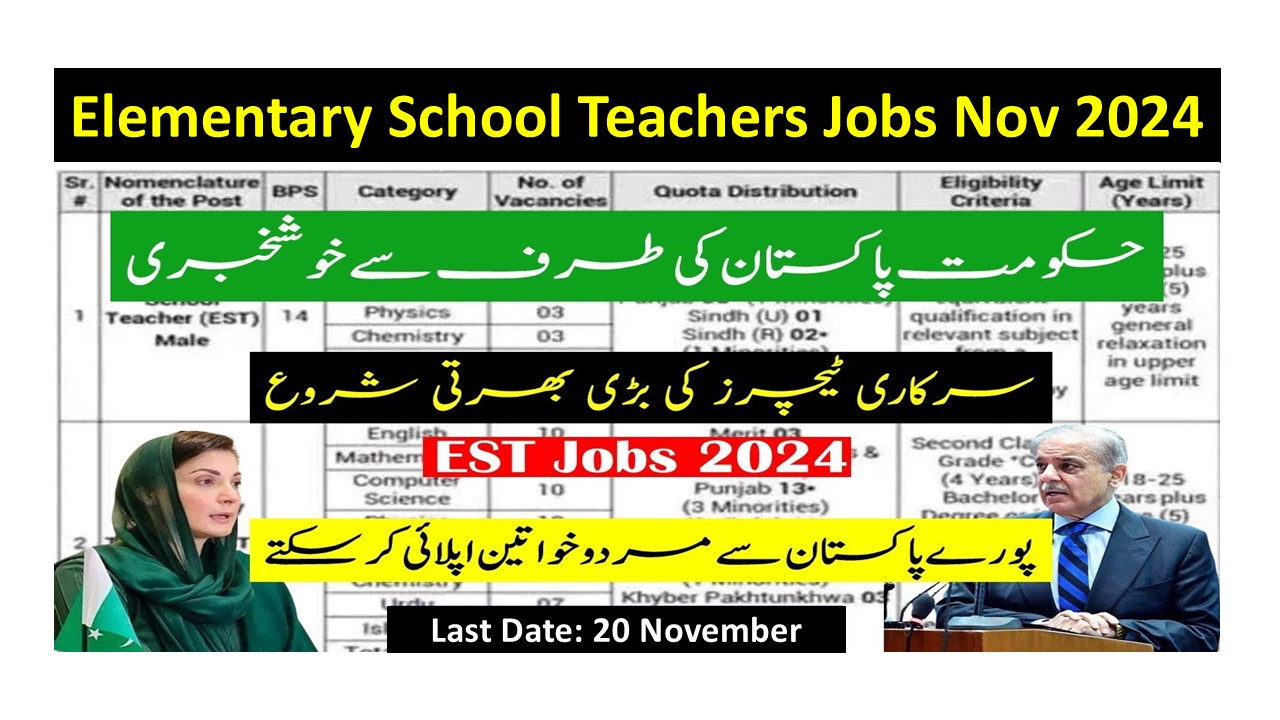 Elementary School Teachers Jobs Nov 2024