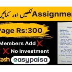 Online Earning in Pakistan Through Assignment Writing Without Investment