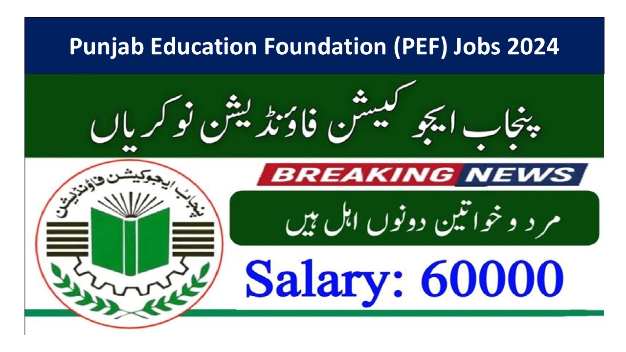 Punjab Education Foundation (PEF) Jobs 2024