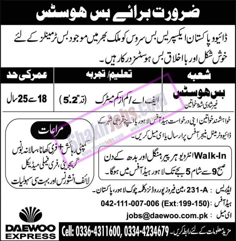 Daewoo Express Jobs 2025 