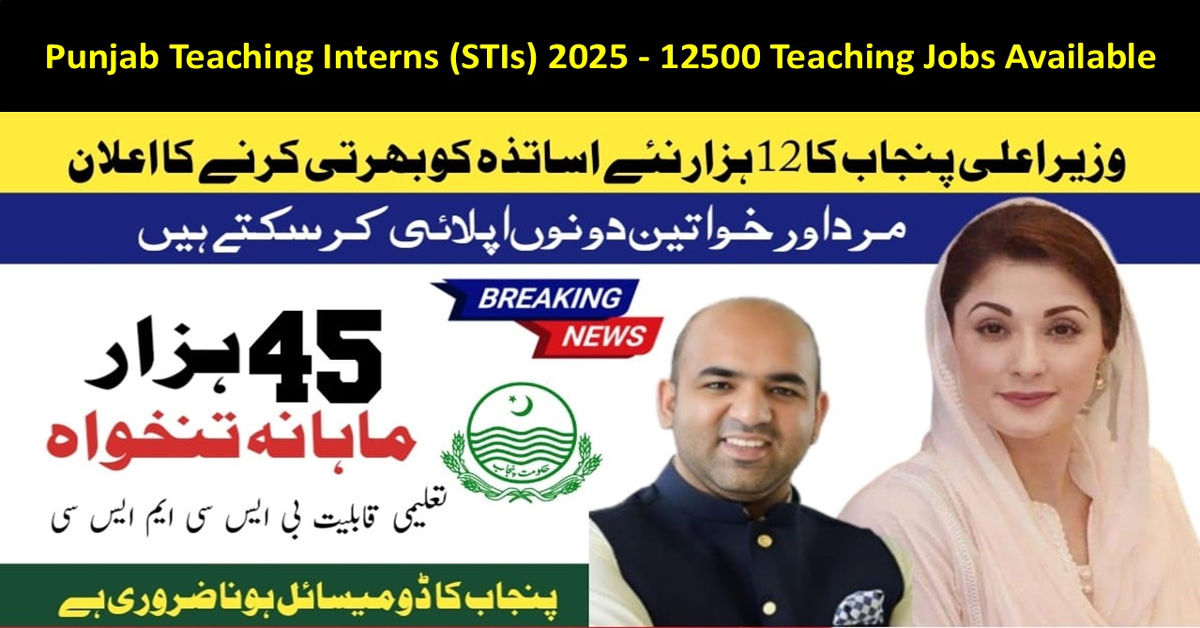 Punjab Teaching Interns 2025