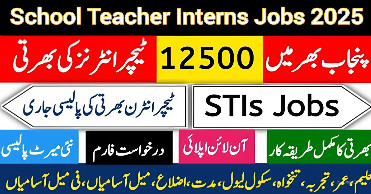 www Schools Punjab Gov Pk Jobs 2025 Apply Online Form - STI Jobs 2025