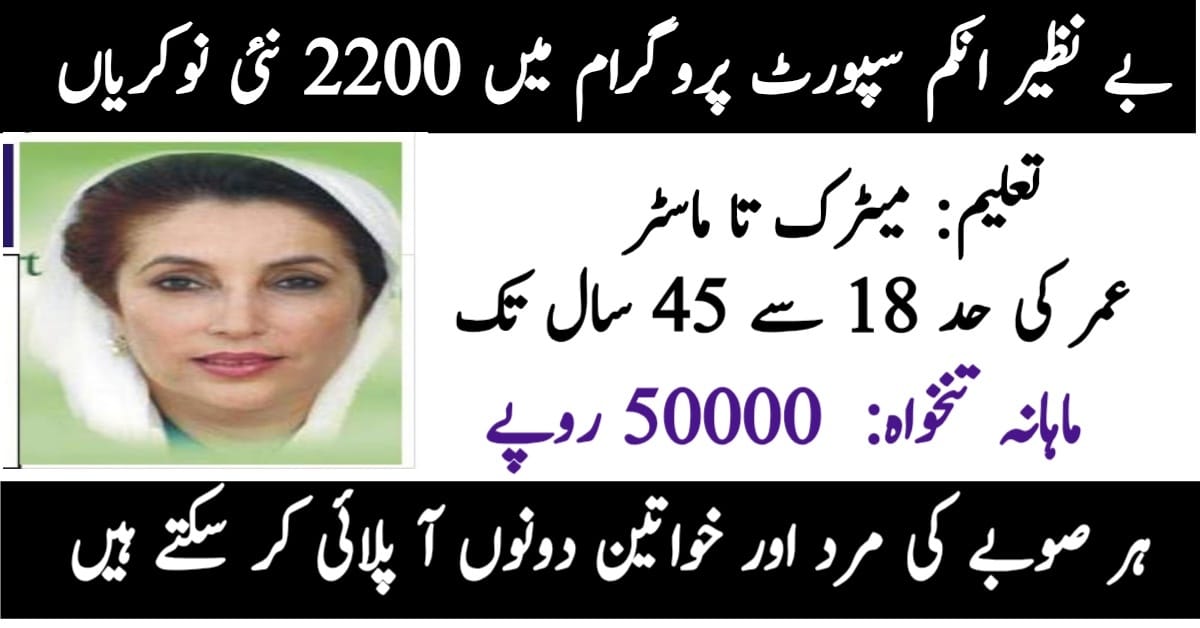 Benazir Income Support Program BISP Jobs 2025 For Data Entry and Security Guard