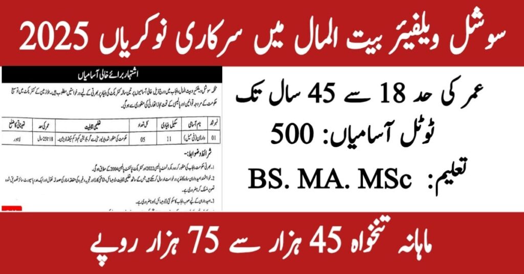 Bait Ul Maal Punjab Jobs