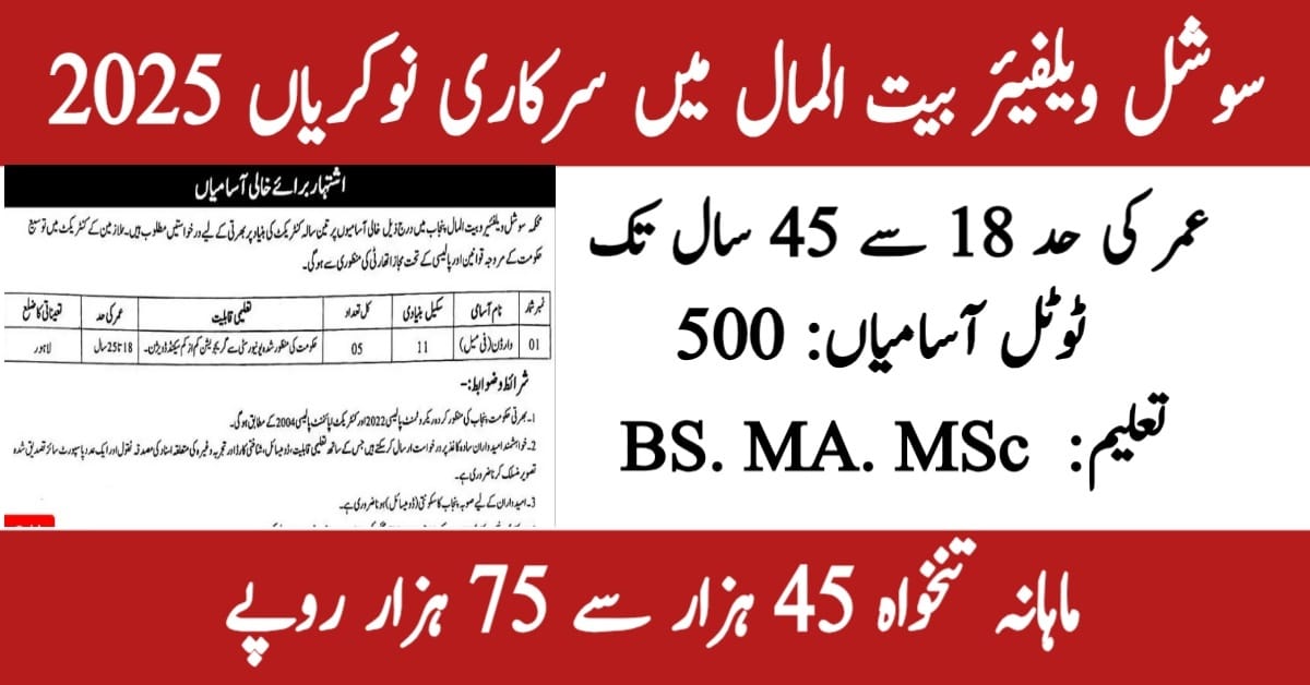 Bait Ul Maal Punjab Jobs