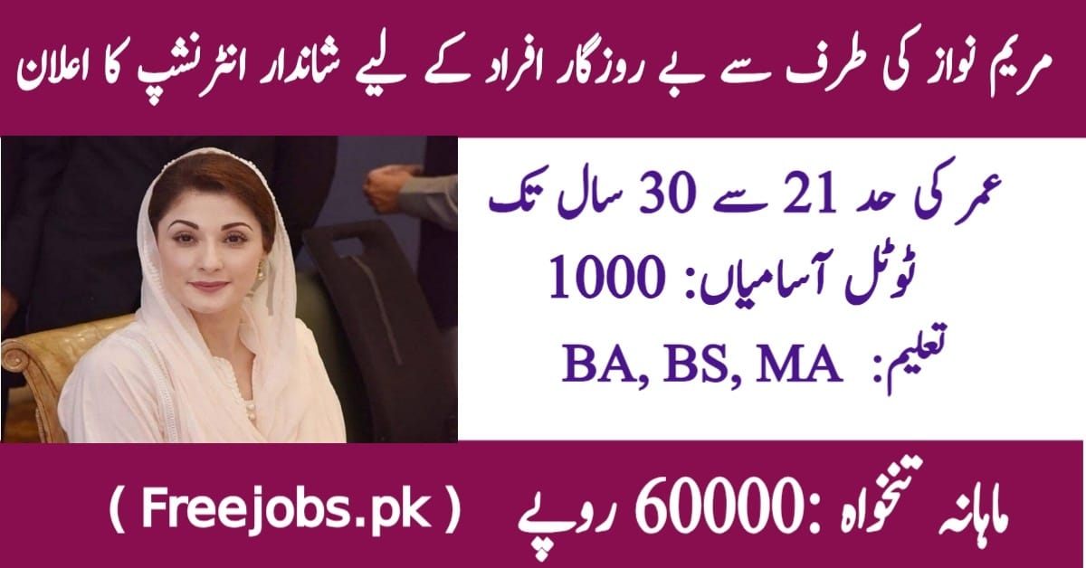 CM Punjab Tourism Internship