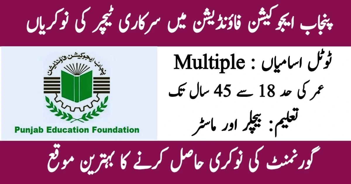 Punjab Education Foundation Reveals 2025 Career Openings
