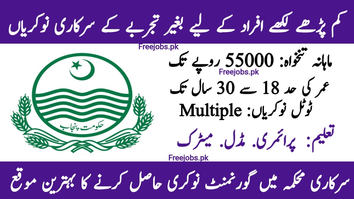 کم پڑھے لکھے افراد کے لیے سرکاری بھرتیوں کا اعلان