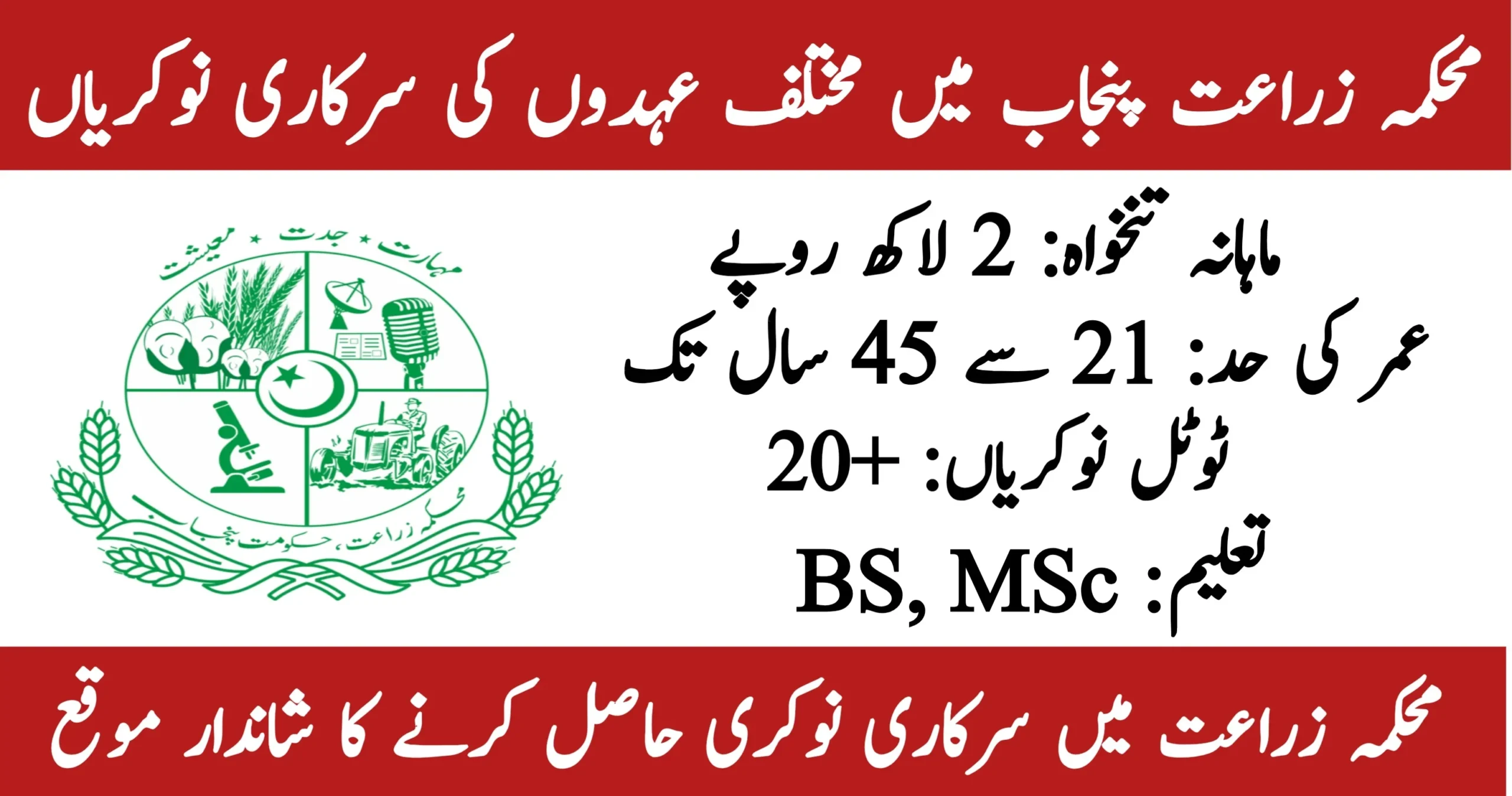 Agriculture Department Punjab Jobs 2026