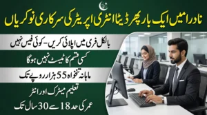 NADRA Jobs 2026 For Junior Executive