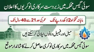 Sui Southern Gas Company Limited Jobs 2026