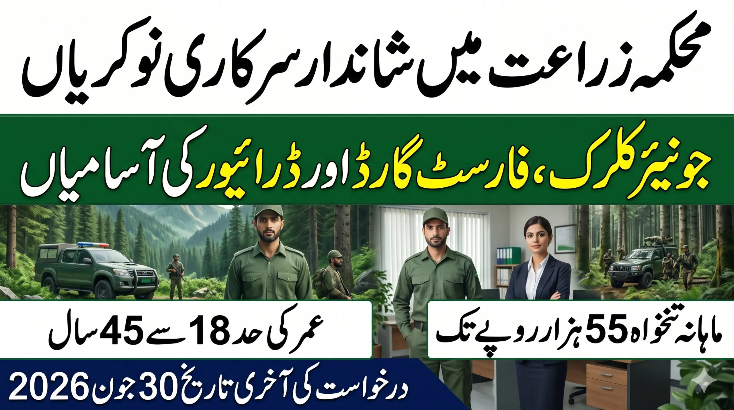 forest department jobs kpk