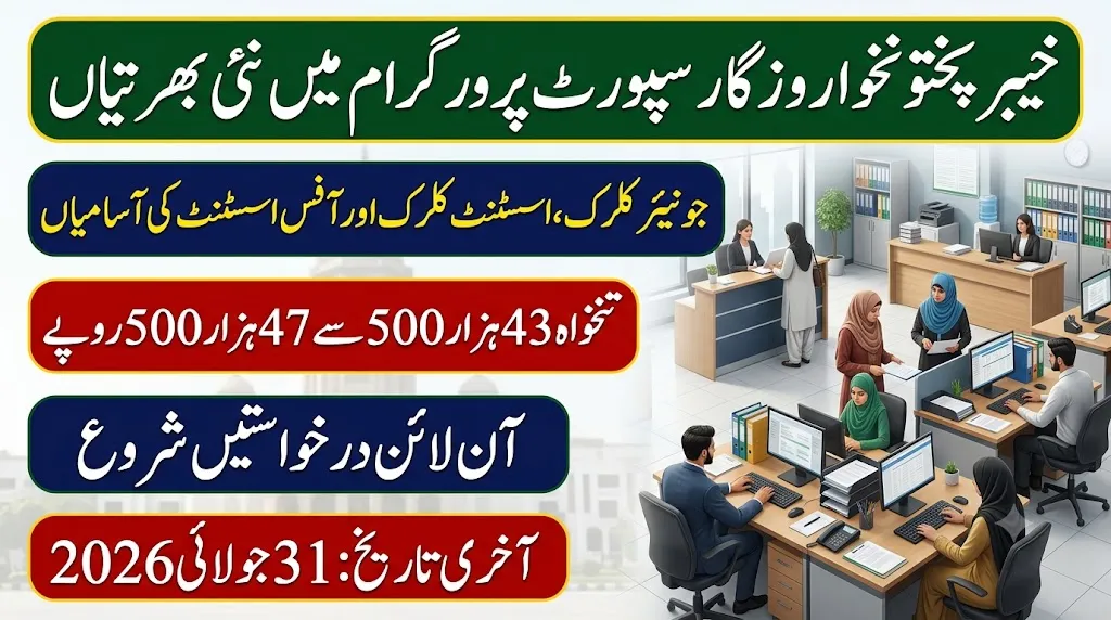 khyber pakhtunkhwa rozgar support program jobs 2026