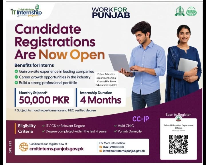Punjab IT Internship Program 2026